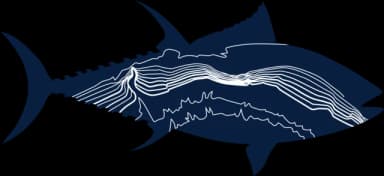 Montauk Canyon Challenge